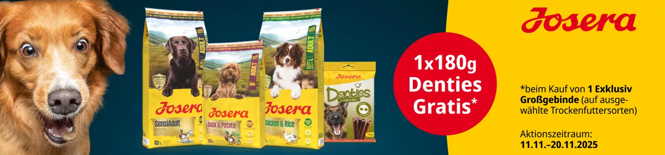 DTS-4295_1800x500px_ZM.png DTS-4295_1800x500px_ZM.png