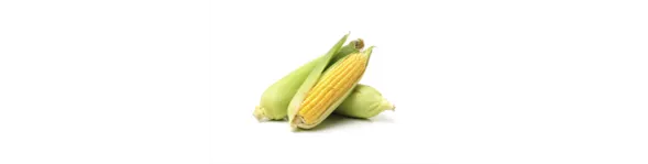 ingredient-corn.png