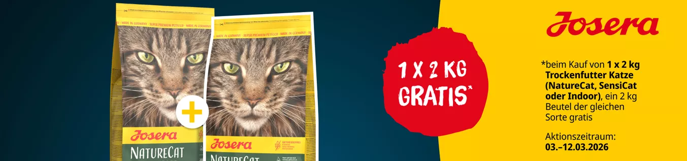 DTS-5484_1900x500px_ZM.png DTS-5484_1900x500px_ZM.png