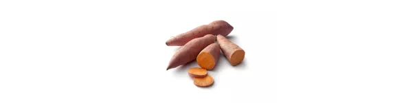 ingredient-sweet-potato.png