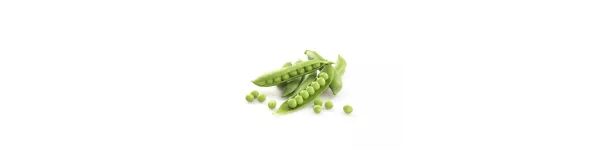 ingredient-pea.png