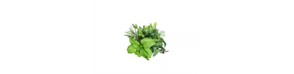 ingredient-herb-fruit.png