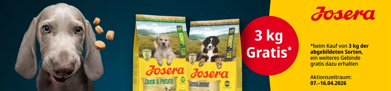 DTS-5767_1900x500px_ZM.png DTS-5767_1900x500px_ZM.png