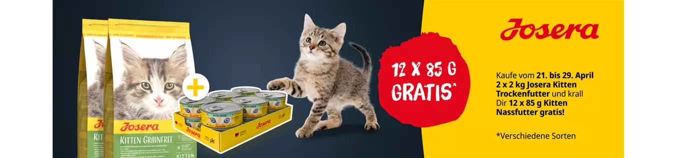 DTS-5771_1800x500px_ZM.png DTS-5771_1800x500px_ZM.png