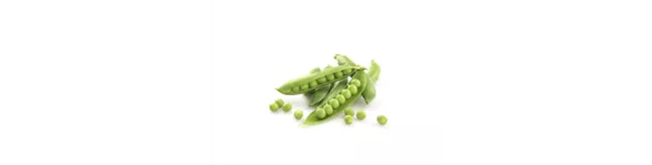 ingredient-pea.png