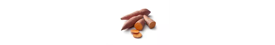 ingredient-sweet-potato.png