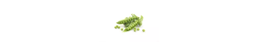 ingredient-pea.png