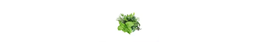 ingredient-herb-fruit.png