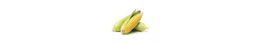 ingredient-corn.png