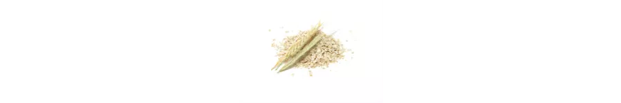 ingredient-grain.png