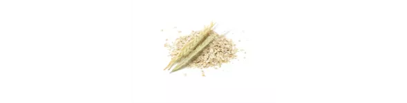 ingredient-grain.png